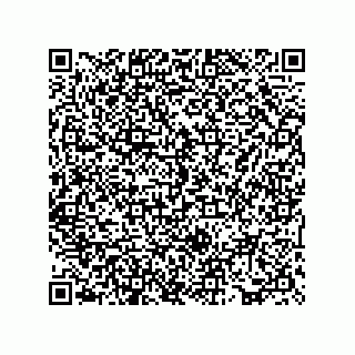 vCard 73817524928