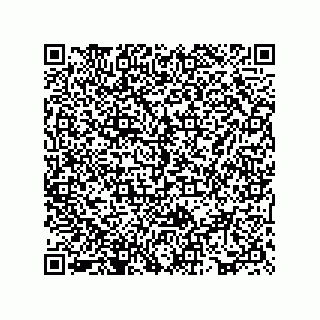 vCard 73817525919