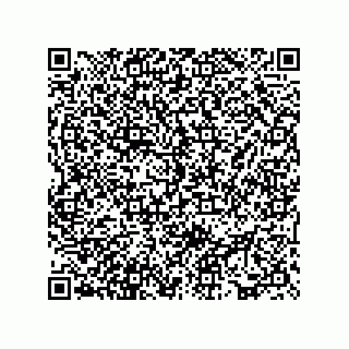 vCard 73817526313