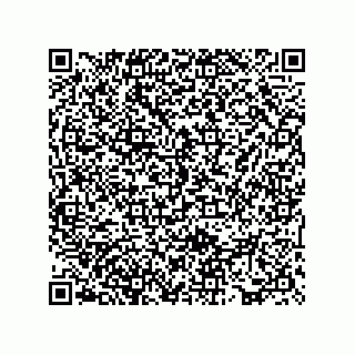 vCard 73817526729