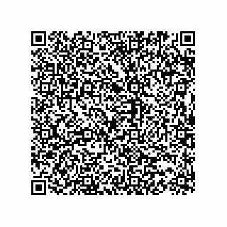 vCard 73817529313