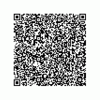 vCard 73817529379