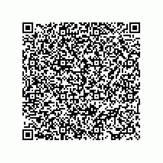 vCard 73817529385