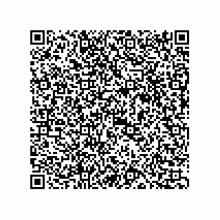 vCard 73817529387