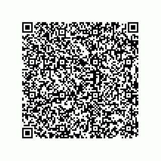 vCard 73817529413