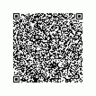 vCard 73817529419