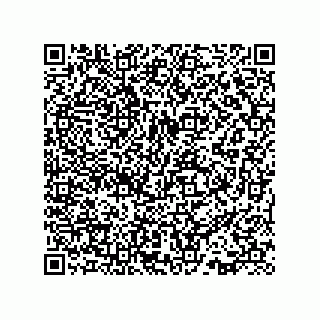 vCard 73817634113