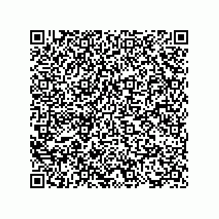 vCard 73817723334