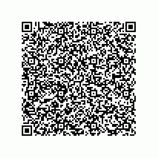 vCard 73817733300
