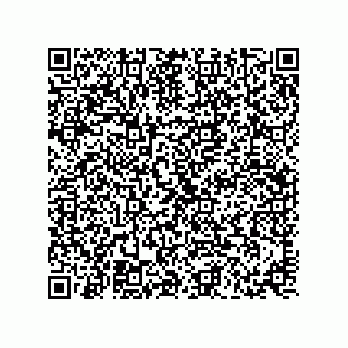 vCard 73817733331