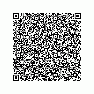 vCard 73817733333