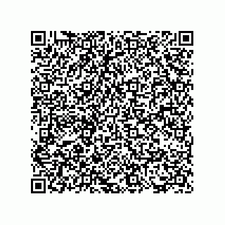 vCard 73817733334