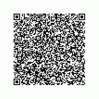 vCard 73817733335