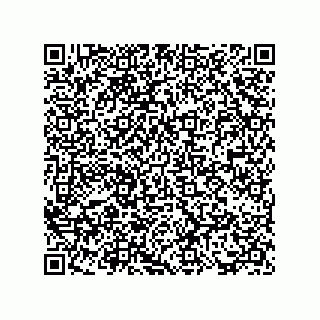 vCard 73817733341