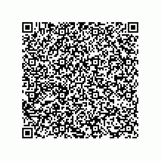 vCard 73817733343