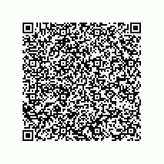 vCard 73817733371