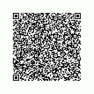 vCard 73817733376