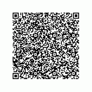 vCard 73817733379