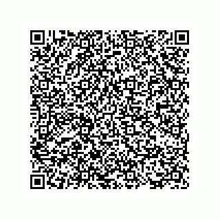 vCard 73817733380