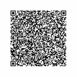 vCard 73817733381