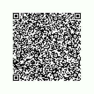 vCard 73817733384
