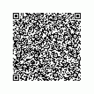 vCard 73817733395