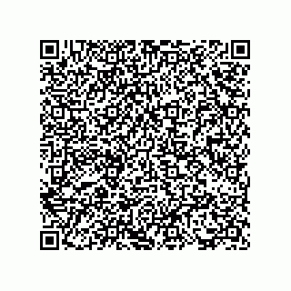 vCard 73817733403