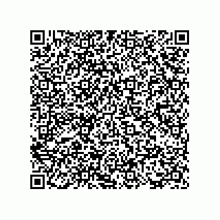 vCard 73817733410
