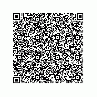 vCard 73817733421