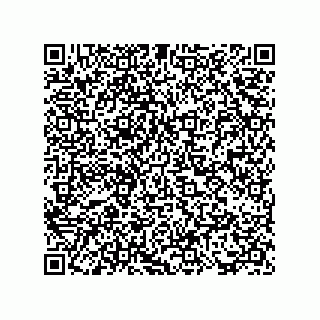 vCard 73817733503