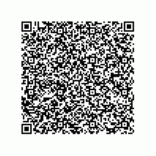 vCard 73817733511
