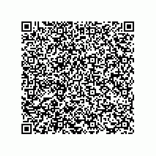 vCard 73817733513