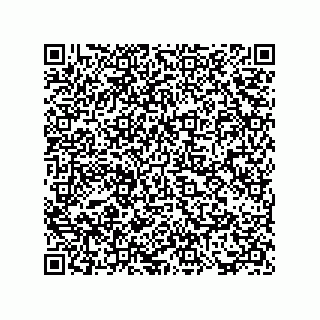 vCard 73817733519