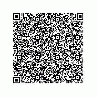 vCard 73817733568