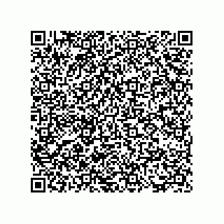 vCard 73817733579