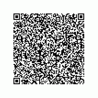 vCard 73817821079