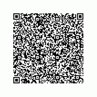 vCard 73817821271