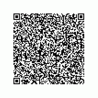 vCard 73817821331