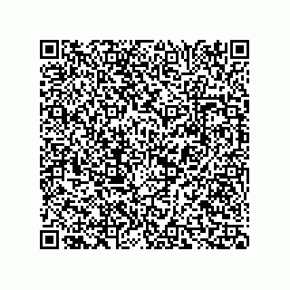 vCard 73817821387