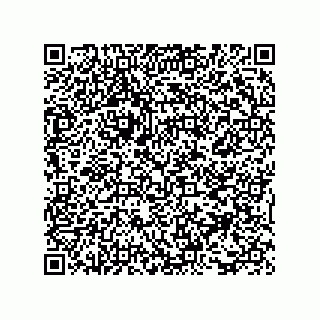 vCard 73817933309
