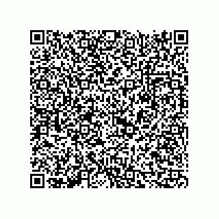 vCard 73817933337