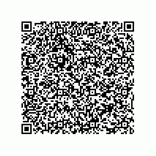 vCard 73817933381