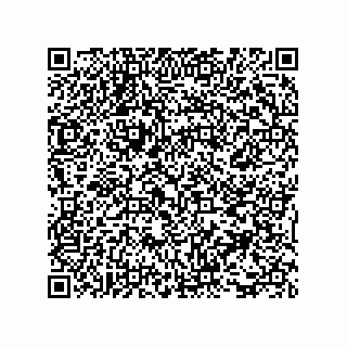 vCard 73817933382