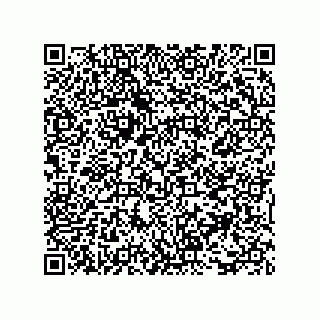 vCard 73817933384
