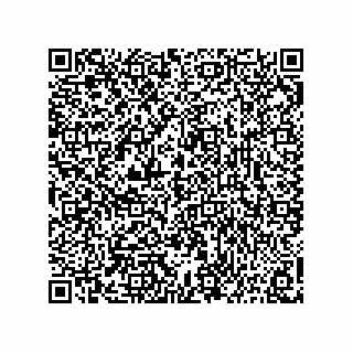 vCard 73817933385