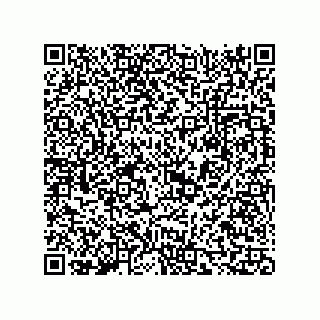 vCard 73817933403