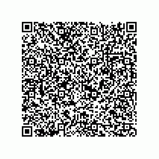 vCard 73817933413