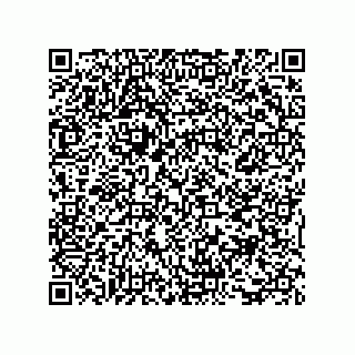 vCard 73817933489