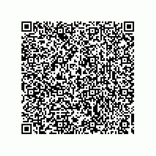 vCard 73817933538