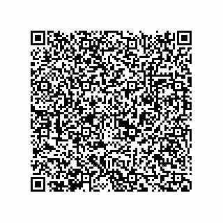 vCard 73817933581